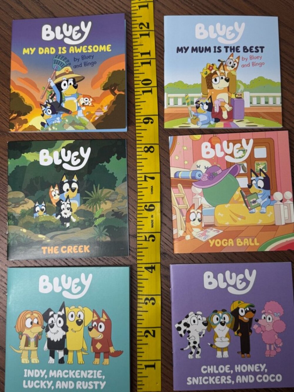 BLUEY 4" Books: Dad Mom Creek Yoga Ball Chloe Honey Snickers Coco Indy Mackenzie